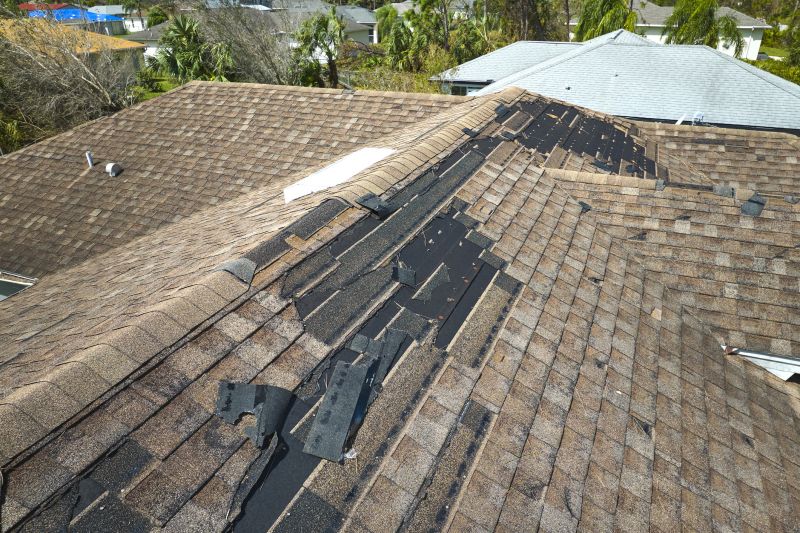 Roof Repair Solutions